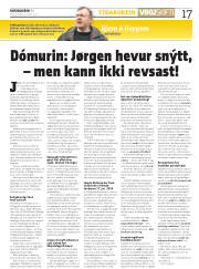 Síða 17