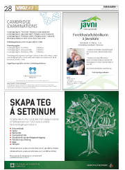 Síða 28