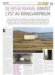Síða 35