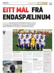 Síða 41