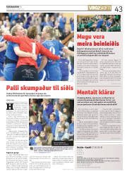 Síða 43