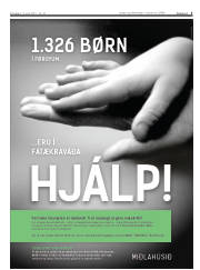 Síða 5