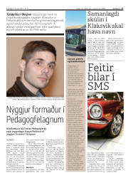 Síða 17