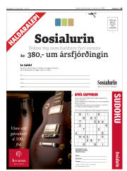 Síða 19