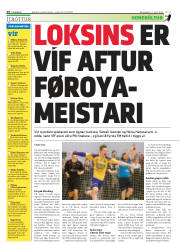 Síða 26