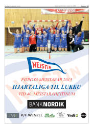 Síða 15