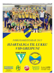Síða 19