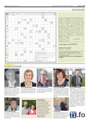 Síða 29