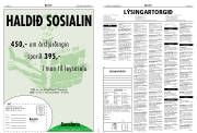 Síða 18