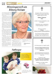 Síða 22