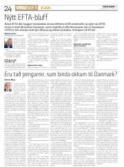 Síða 24