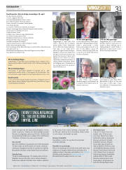 Síða 31
