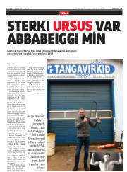 Síða 11