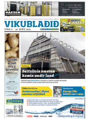 Síða 33