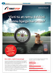 Síða 38