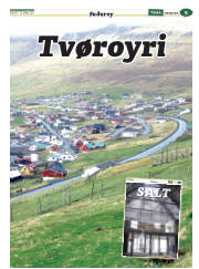 Síða 41