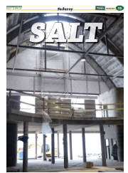 Síða 51