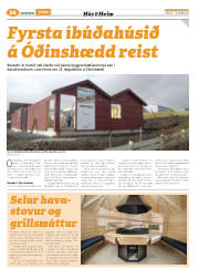 Síða 58