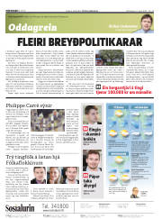 Síða 2