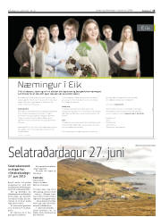 Síða 15