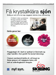 Síða 17