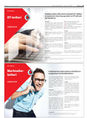 Síða 33
