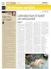 Síða 12