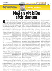 Síða 13