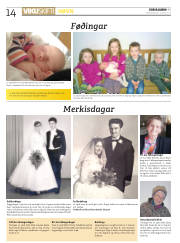 Síða 14