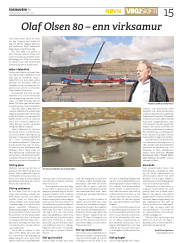 Síða 15