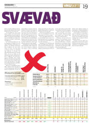 Síða 19
