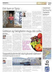 Síða 27