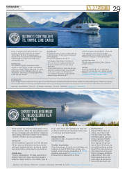 Síða 29