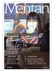 Síða 41