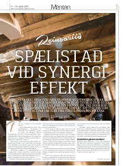 Síða 45