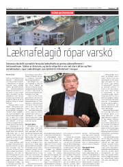 Síða 11