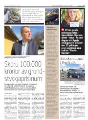 Síða 17
