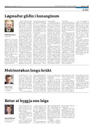 Síða 19