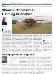 Síða 22