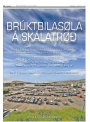 Síða 24
