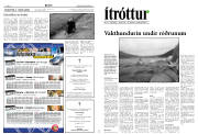 Síða 8