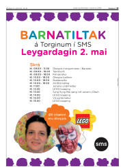 Síða 33