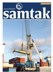Síða 41