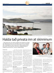 Síða 43