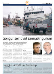Síða 45