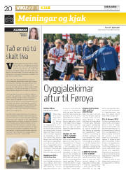 Síða 20