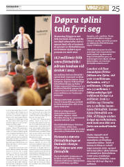 Síða 25