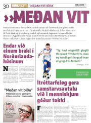 Síða 30