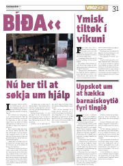Síða 31