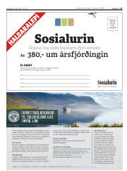 Síða 15